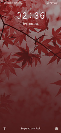 Maple-Leaf_3MDS