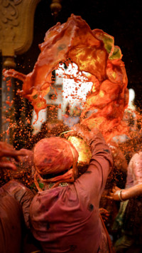 Colors of India (8)