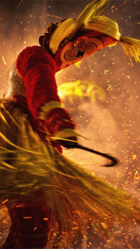 Colors of India (10)