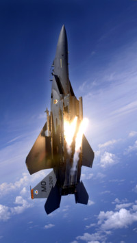 Aerial Predators (6)