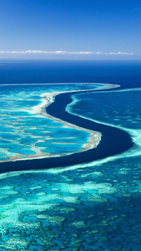 The coral of the great barrier reef was burned to death