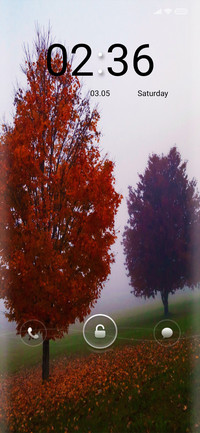 Foggy Trio