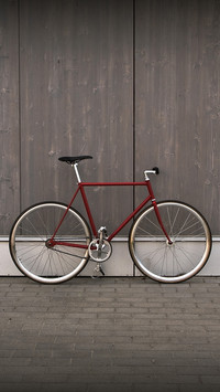 Internatioanl-bicycle