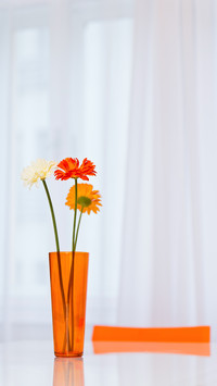 Vase with three gerbera flowers on the table in dining area