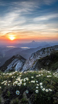 风景高山-顶晟科技