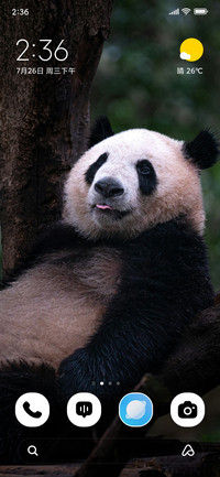 Gentle Bamboo