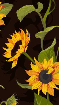 The beauty of still life-PAIXIN