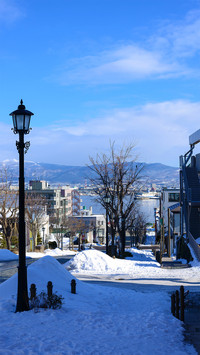 高清雪景图-拍信图库