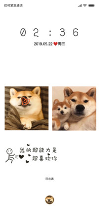 柴犬宝贝