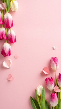 Sentimental tulips