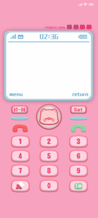 Pink Pig