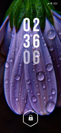 Rainy Dreams