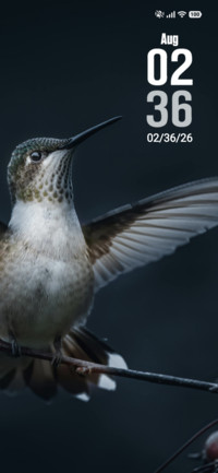 Bird