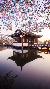 Punch in the beautiful scenery of China 40
