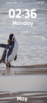 Penguin