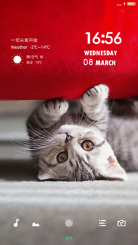H2os（萌猫版）