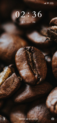 Coffee Beans_3MDS