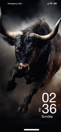 Angry Bull