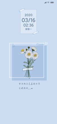 淡雅小雏菊