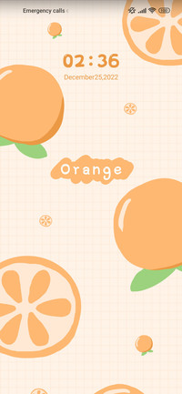 Fruit Sweet Sauce