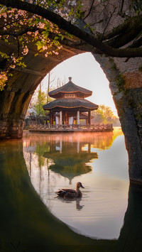 My favorite memory is Hangzhou 94