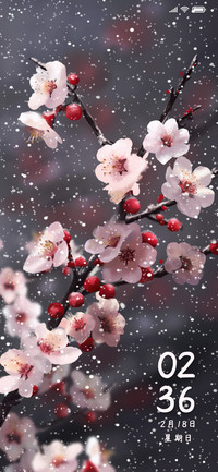 雪梅幽芳