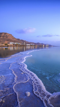 The dying deadsea 28