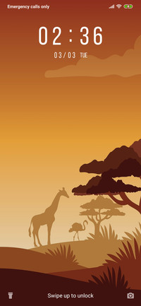 Safari_3MDP