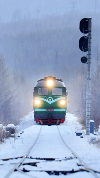 Green trains are fearless of blizzards