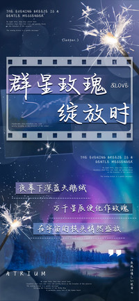 群星玫瑰绽放时