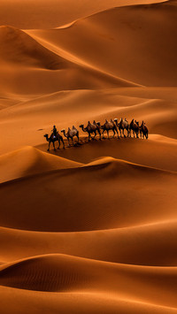 Continue to write a new chapter of the Silk Road 56