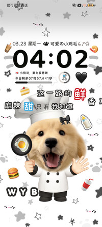 ins揍饭大厨小金毛