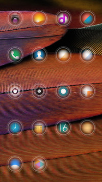 PLUCK_DWM2