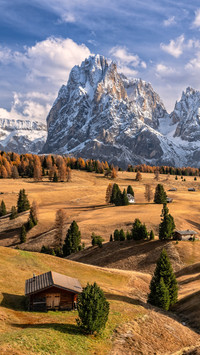 The charm of nature