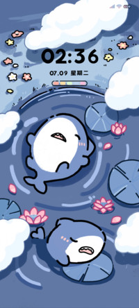 鲨鱼的安逸昼夜