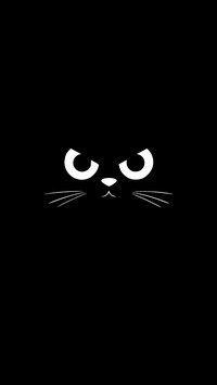 黑猫先生-拍信图库