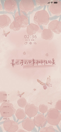 粉嫩郁金香