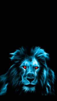 King Of Jungle (5)