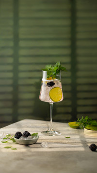 Gin and Tonic Cocktail with Fresh Mint