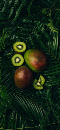 Delicious Fruits-PAIXIN