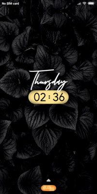 Black Roses_DWM19