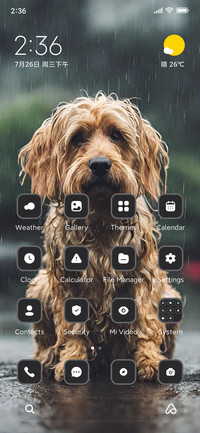 Rainy Dog