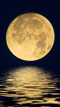 The moonlight ripples on the waves