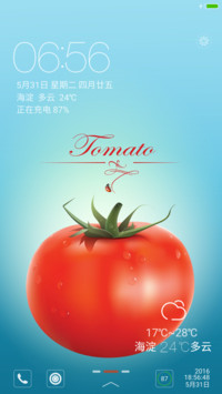 简约西红柿【美味佳肴】