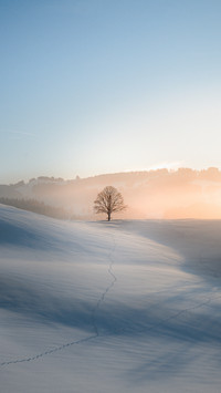 May the winter solstice come as promised 20