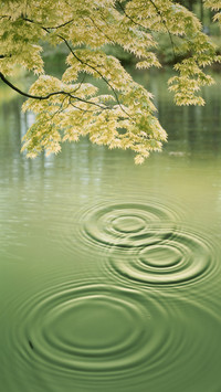 How did the ancients predict the weather 63