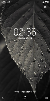 Pixel Os