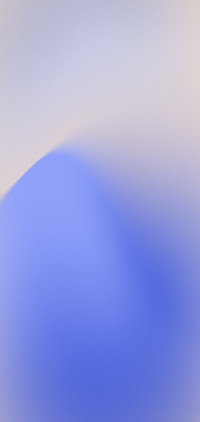 Native Android Q