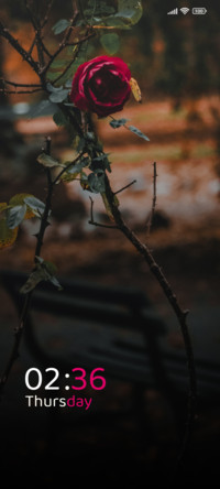 Thorn Bloom