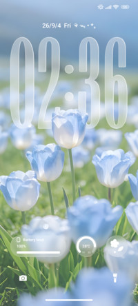 Flower Transparent